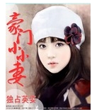豪门小小妻